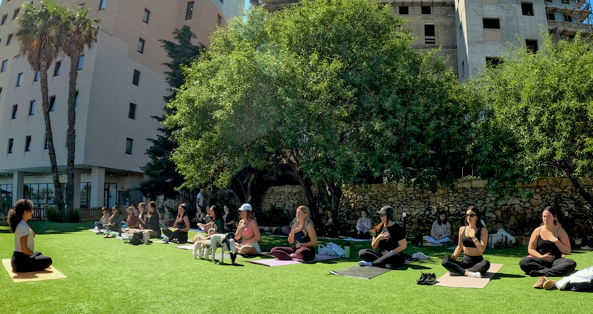Group of women practicing yoga outdoors on a sunny lawn